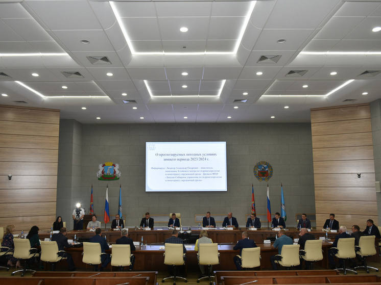 В Алтайском крае на уборку снега в зимний период выделят 660 млн рублей