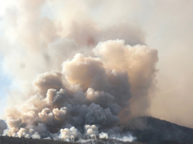 В Хакасии вновь горит лес