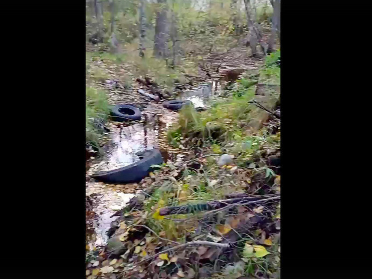 Покрышками и мусором завалили ручей в Надвоицах