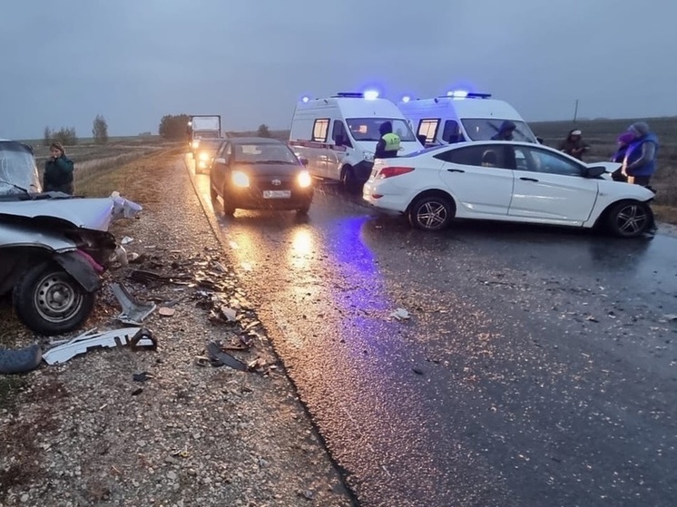 За сутки в Рязанской области два человека погибли и пять пострадали в ДТП