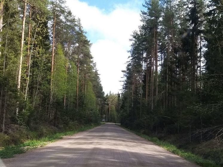 В Новгородской области пройдет любительское ралли «Кубок княгини Ольги»