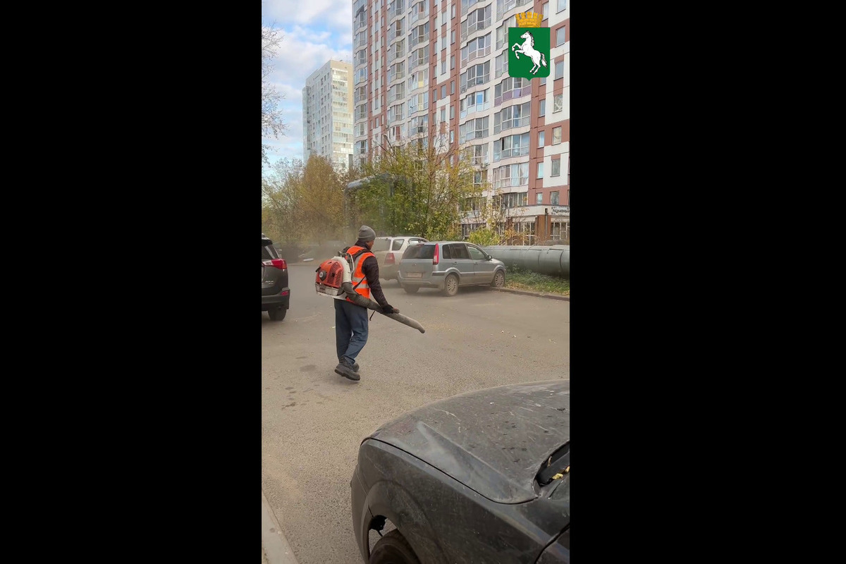 Дворников томск