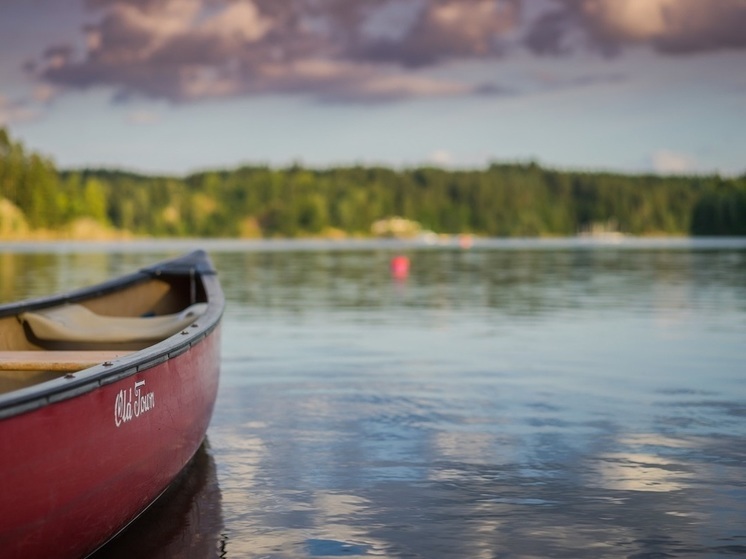 В Смоленской области волонтёры борются с загрязнением рек