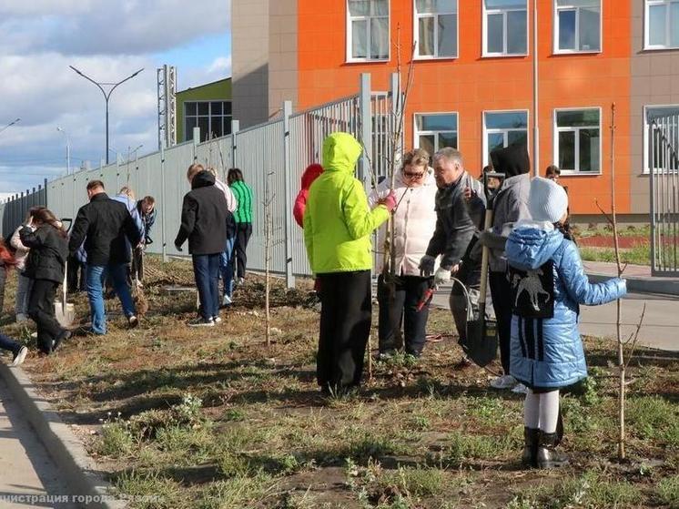 В школе №76 имени Чумаковой в Рязани появилась «Аллея отцов»