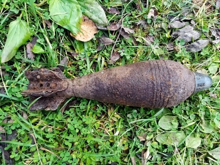 Миномётная мина калибра 82мм найдена в деревне Савино Духовщинского района
