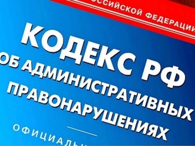В Калмыкии молодая элистинка заплатит штраф за публичные оскорбления