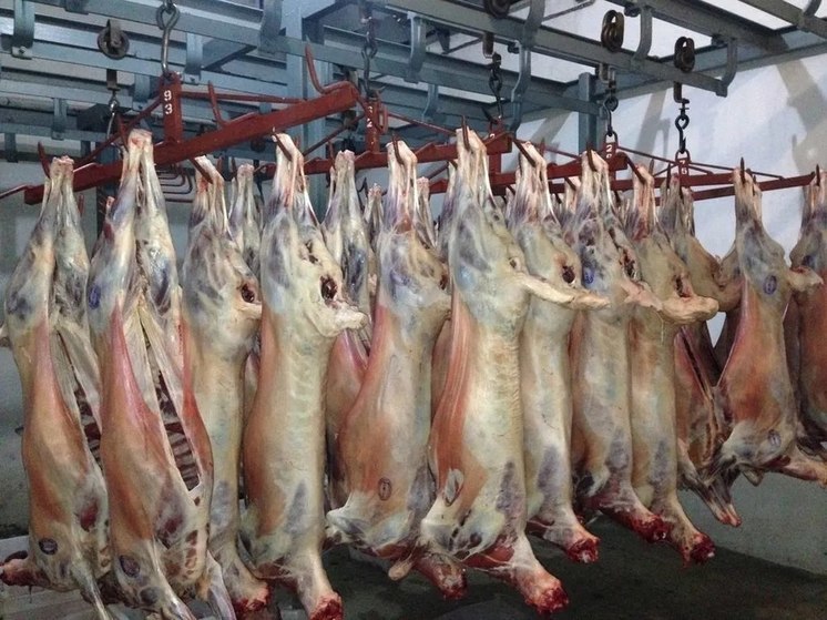 В Дагестане стабилизируют цены на мясо