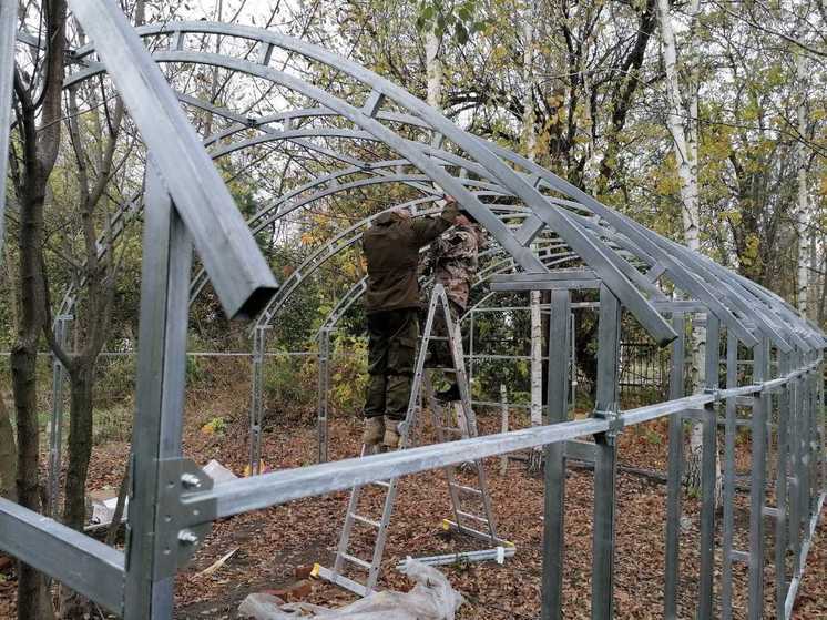 В Тамбовской области создадут комплекс реабилитации раненых птиц