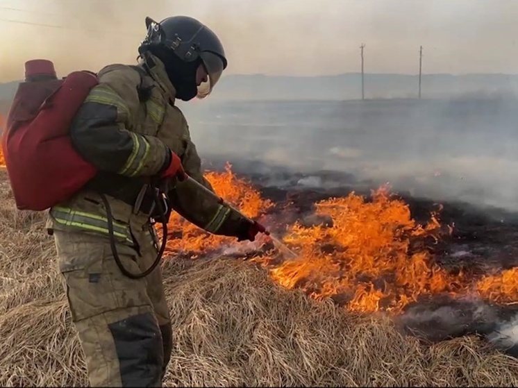 Степной пожар на 1000 га действует возле села в Забайкалье