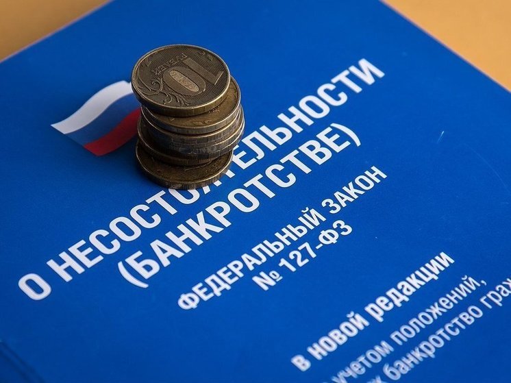 УФНС рассказали о ситуации с должниками-банкротами в Орловской области