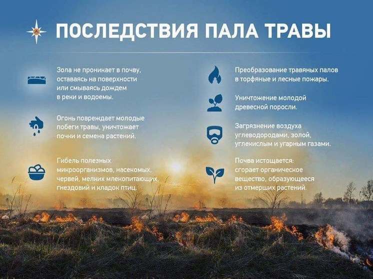 В Хабаровском крае за сутки зафиксировано 36 термических аномалий