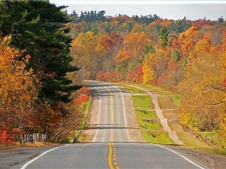 За сутки в Башкирии поймали 43 пьяных водителя