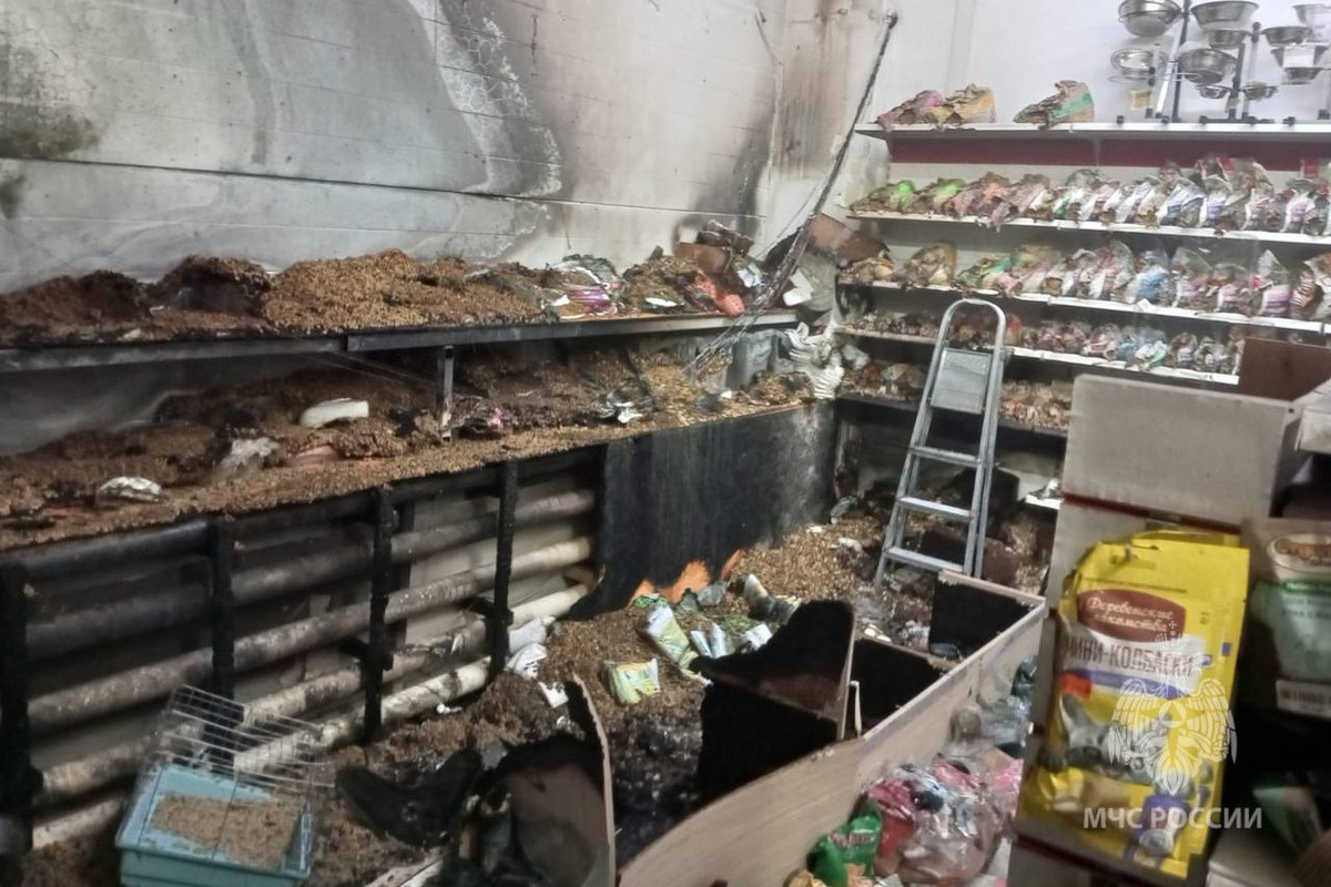 В одном из магазинов Ивановской области 14 октября сгорели корма для животных