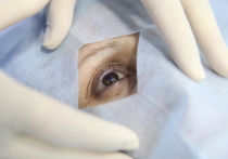 Президент Российского глаукомного общества профессор Евгений Егоров сообщил, что сейчас в России каждый год заболевают неизлечимой пока глазной болезнью глаукомой, которая приводит к слепоте, более ста тысяч человек