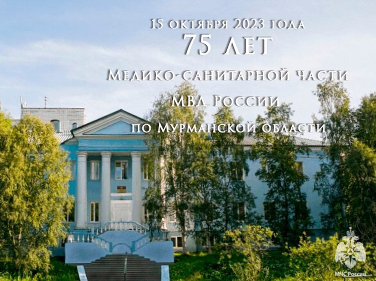 Ведомственных медиков МВД по Мурманской области поздравили с праздником