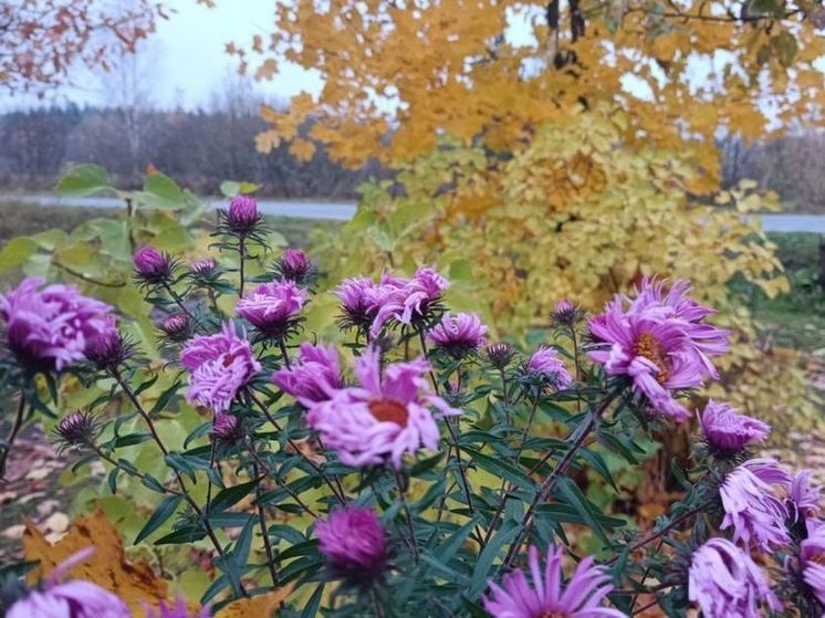 Метеоролог рекомендует не расставаться на следующей неделе с зонтом