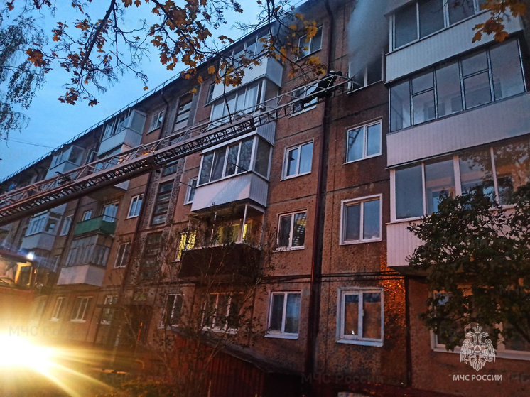 Специалисты МЧС спасли человека на пожаре в брянском Карачеве