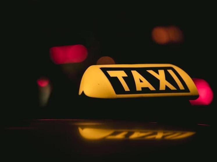 В Омск планируют поставить российские электромобили для работы в такси