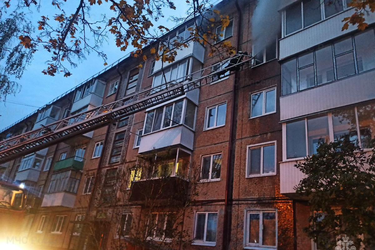 Котята Карачев Брянск Купить Свежее Объявление На