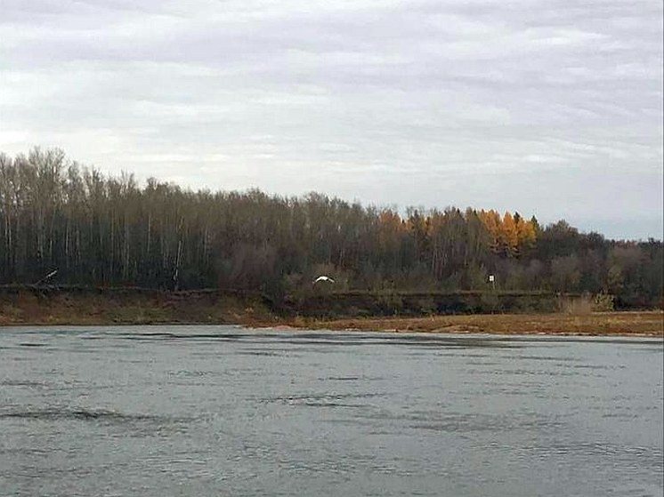 В Уфе спасатели приехали на вызов к одиноко плавающему лебедю