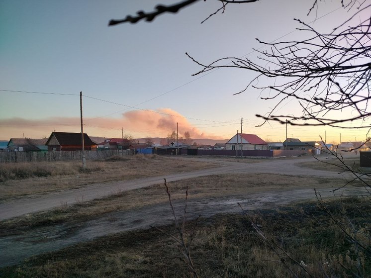 Лесной пожар в 90 га произошел в Шилке