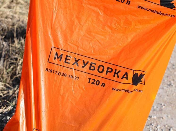 Несанкционированные свалки в Псковской области: как с ними бороться