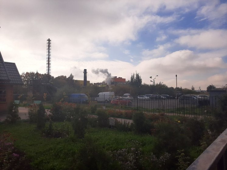 В Пестово из-за пожара сгорела хозяйственная постройка