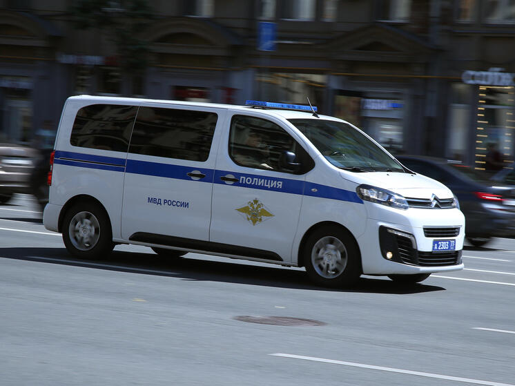 В Подольске задержали двоих подозреваемых в краже крышек люков