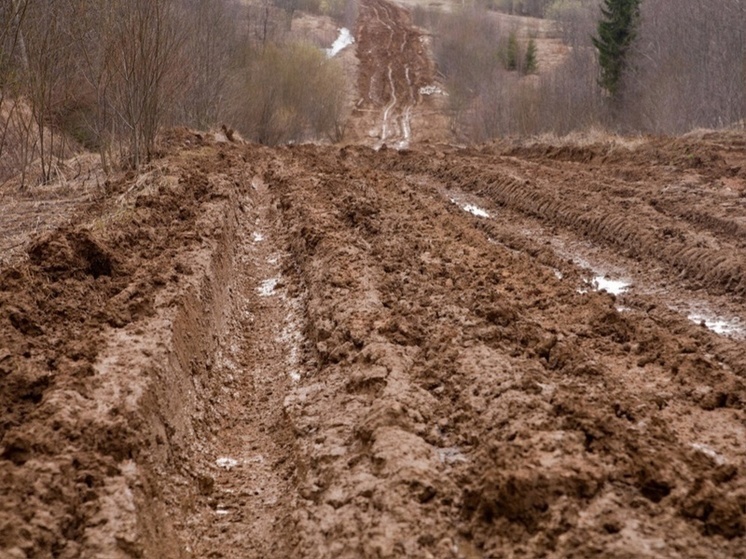 Ярославцы жалуются, что осенью дороги в их населенные пункты становятся не проездными