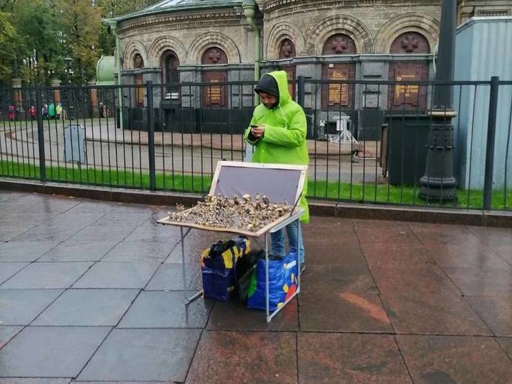 На площади Восстания и у Спаса на Крови свернули 11 незаконных торговых лотков