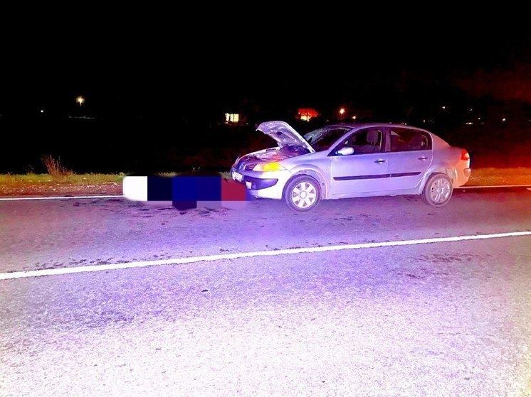 В Башкирии автоледи на неосвещенной дороге сбила насмерть женщину