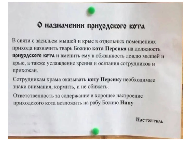 Настоятель костромского  Александро-Антониновского храма назначил кота защитником церкви