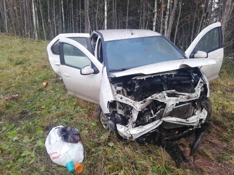 В ДТП в Холмогорском районе пострадал ребенок