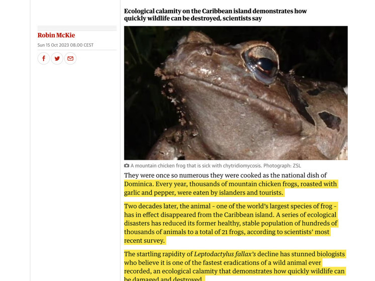 Произошло самое быстрое вымирание вида из когда-либо зарегистрированных