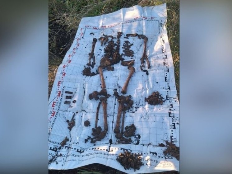 У реки Дон в Воронежской области обнаружены останки бойцов Красной Армии