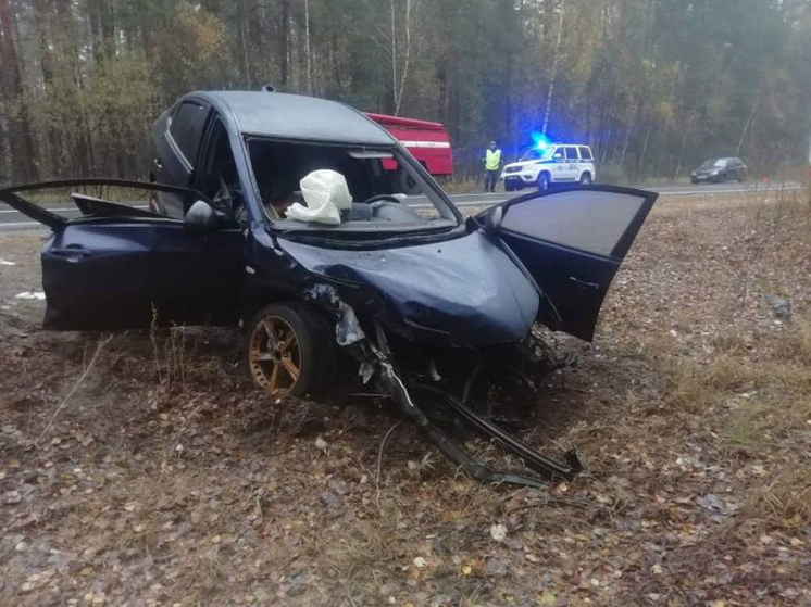 Во Владимирской области за неделю произоши 376 ДТП