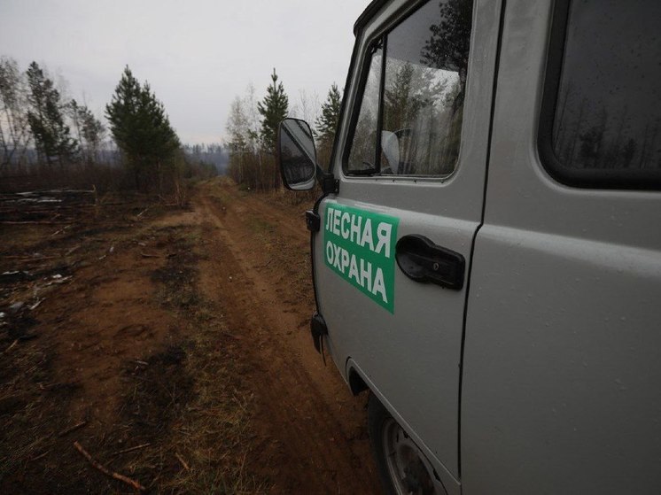 За сутки в Приангарье удалось ликвидировать три лесных пожара