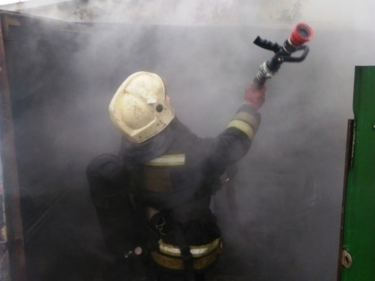 В Воронежской области 65-летний мужчина погиб при пожаре