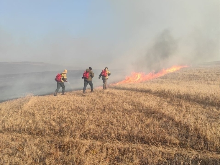 Чабанские стоянки пострадали от крупного степного пожара в Забайкалье