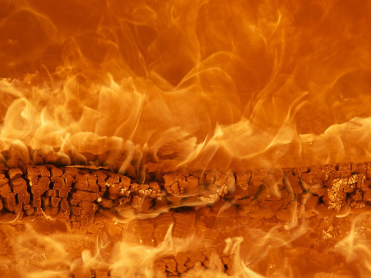 При ночном пожаре в центральной части Нарьян-Мара погибла собака