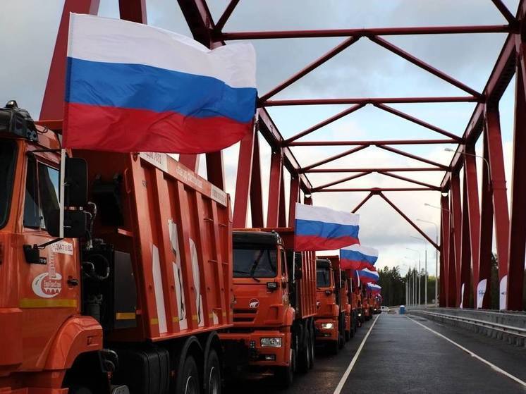 Путин по видеосвязи открыл новый мост через реку Свирь в Подпорожье