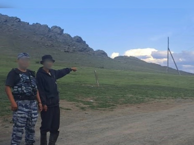  В Туве водитель предстанет перед судом за  смерть на дороге  малолетней девочки