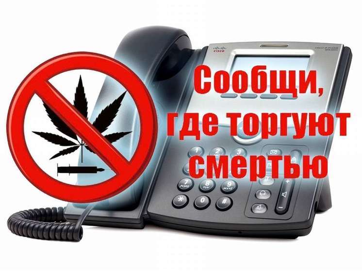 В Костромской области стартовала антинаркотическая акция «Сообщи где торгуют смертью»