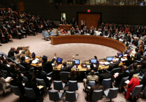 На заседании Совета Безопасности ООН не удалось принять резолюцию, представленную Россией, в которой содержался призыв незамедлительно прекратить огонь в зоне палестино-израильского конфликта. Документ содержал строгое осуждение насилия в отношении мирных граждан, а также "всех актов терроризма".