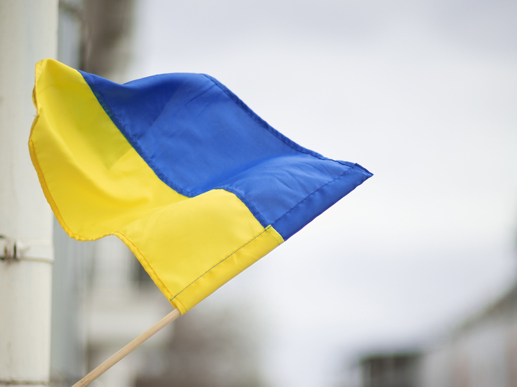 Экс-дипломат Фридман: на Израиль не нужно тратиться, как на Украину