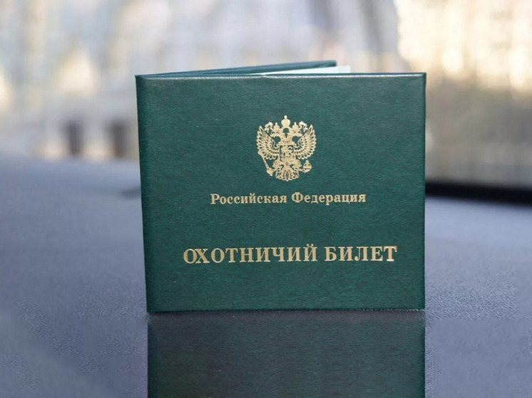 Четырем северянам аннулировали охотничьи билеты из-за непогашенной судимости