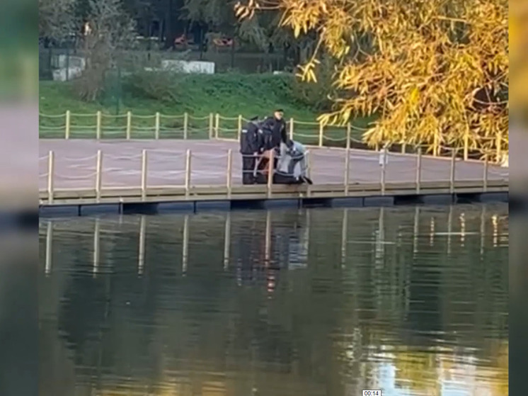 В Белгороде очевидцы и полицейские спасли прыгнувшую в Везелку пенсионерку
