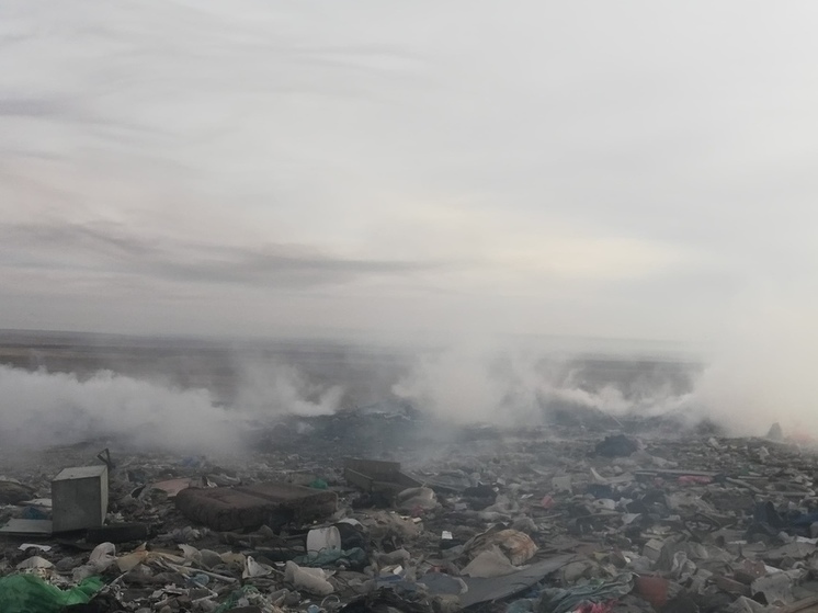 Прокуратура проверит чиновников после пожара на свалке в Чите