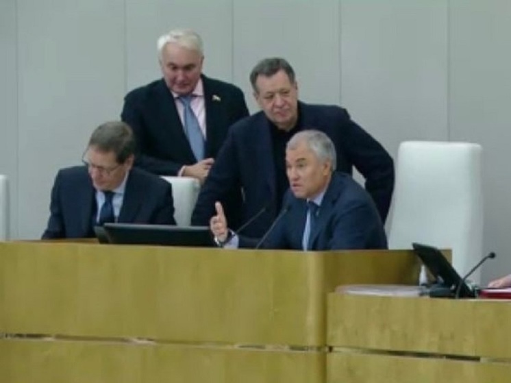 Больше всего досталось молодым депутатам