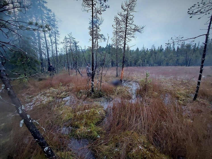 Следком Карелии показал место, где нашли замерзшего насмерть пенсионера